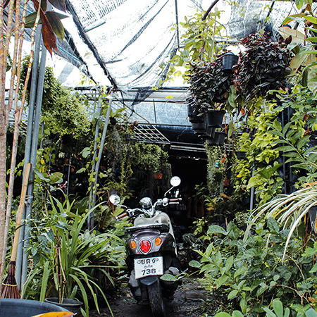 scooter parked in plant shop